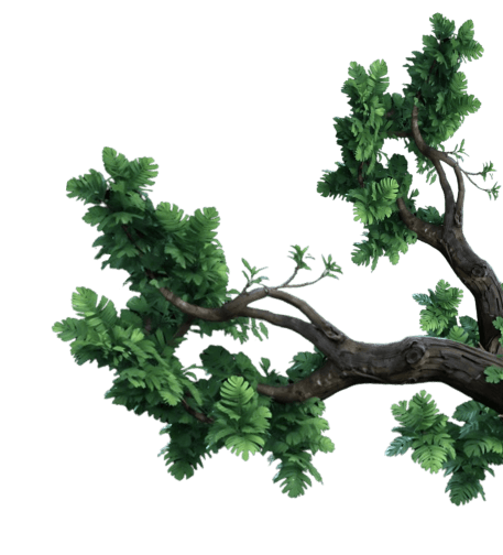 tree barnch right