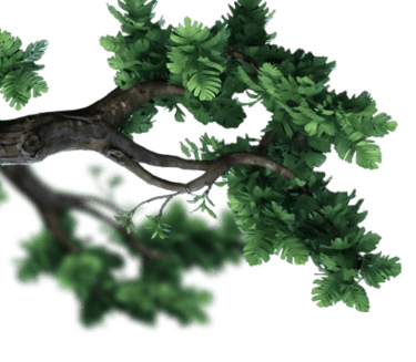 cart page left branch