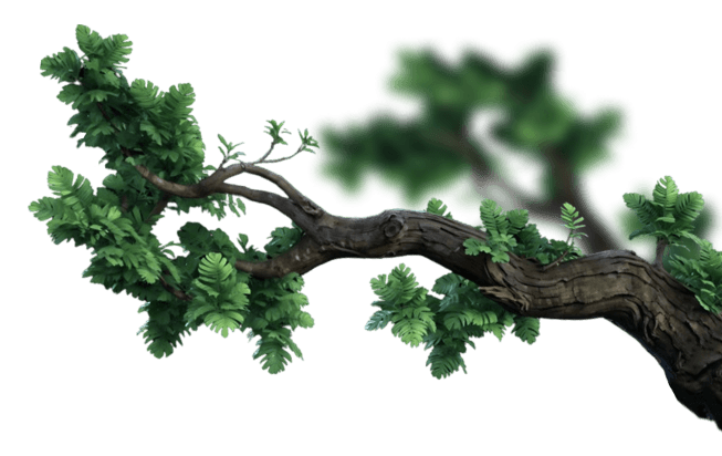 cart page right branch